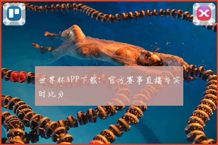 世界杯APP下载：官方赛事直播与实时比分