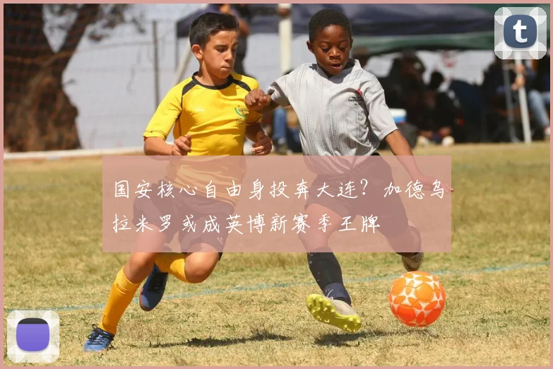 国安核心自由身投奔大连?加德乌拉米罗或成英博新赛季王牌