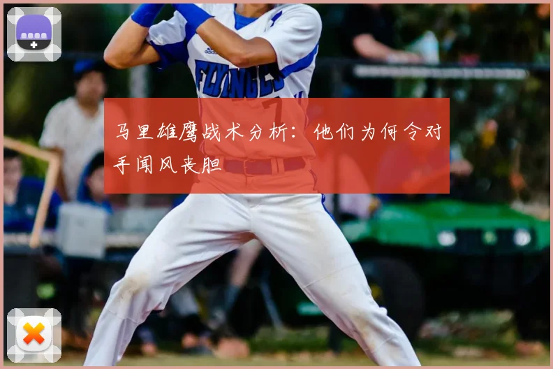 马里雄鹰战术分析:他们为何令对手闻风丧胆