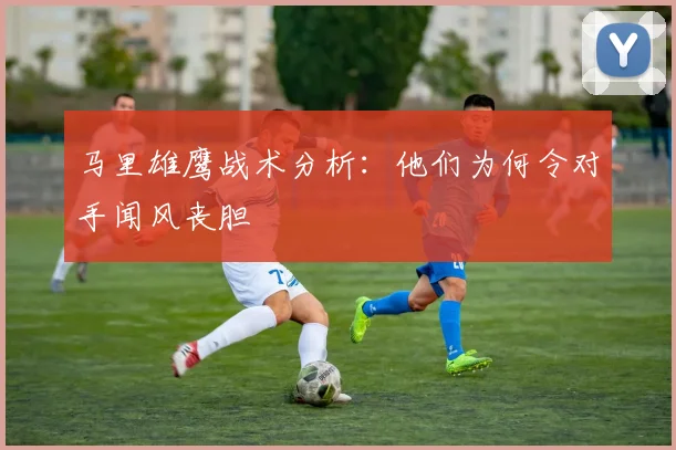 马里雄鹰战术分析:他们为何令对手闻风丧胆
